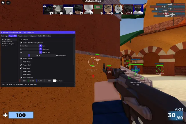 Roblox External Overlay 14